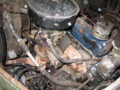 IMG_2033.jpg