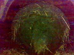 11 апреля 2009