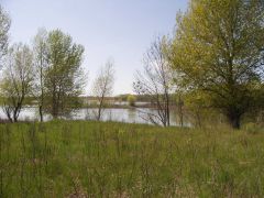 река Енотаевка, вид с острова