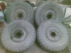 29062010.jpg