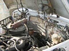 IMG_0350.jpg