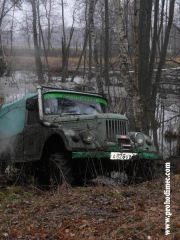 из болота.jpg