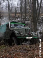 из болота.jpg