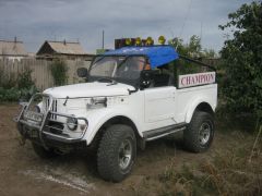 Общий вид