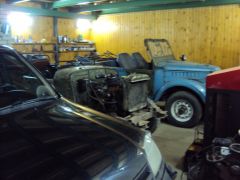 Газон и донор в гараже.JPG