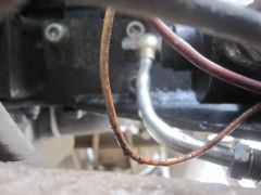 IMG 5322