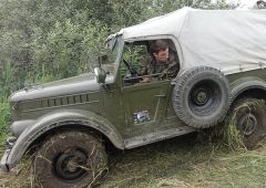 охота на волков