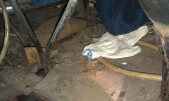 2013-04-10 18.35.55.jpg