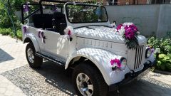 Ждем невесту