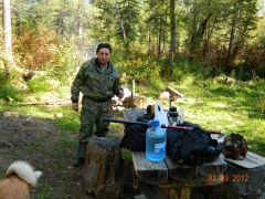 все таже тайга