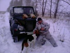 люблю охоту