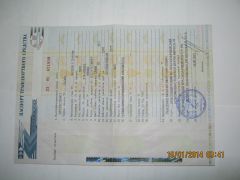 IMG 0183