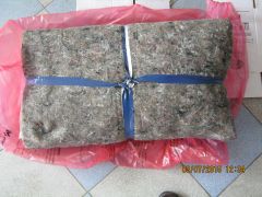 IMG 0636 IMG 0636