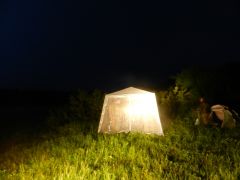 DSCN2521 DSCN2521