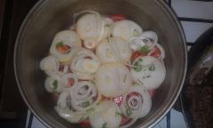 Репчатый лук