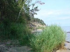 Изображение 016 (2)