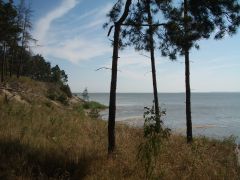 Залив лето.