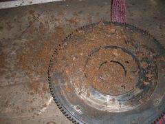 SDC10898 SDC10898