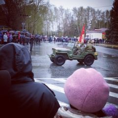 форд якобы gpw