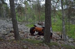 DSC 0688   копия