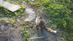 20140604 202954