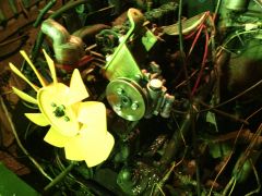 IMG 20140919 152551