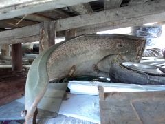 Изображение 270.jpg