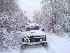 Чидово, Алёховщина