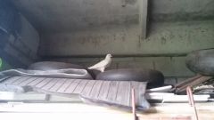 залетел голубь мира