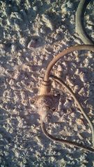 IMG 20150916 172921 1