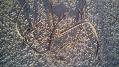 IMG 20150916 172916 1