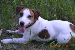 Маленький любитель Г-69.