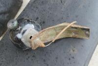 post-17539-0-91199000-1401566507_thumb.j