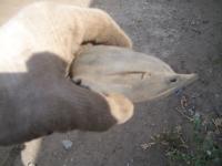 post-26581-0-37435000-1409153162_thumb.j