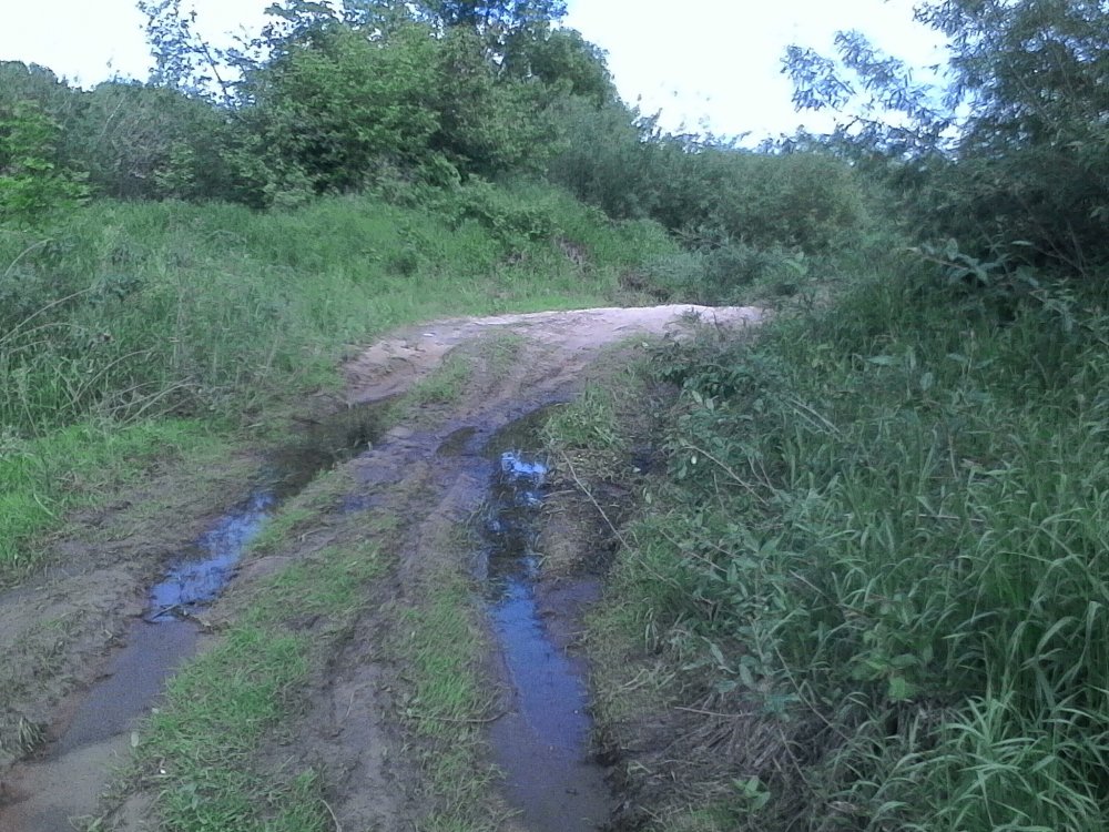 IMG_20170618_151520 (2).jpg