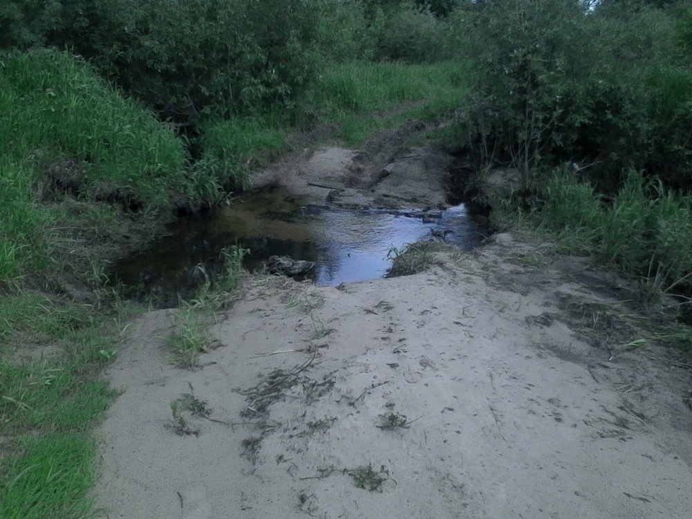 IMG_20170618_151538 (2).jpg