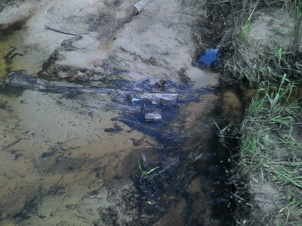 IMG_20170618_151557 (2).jpg