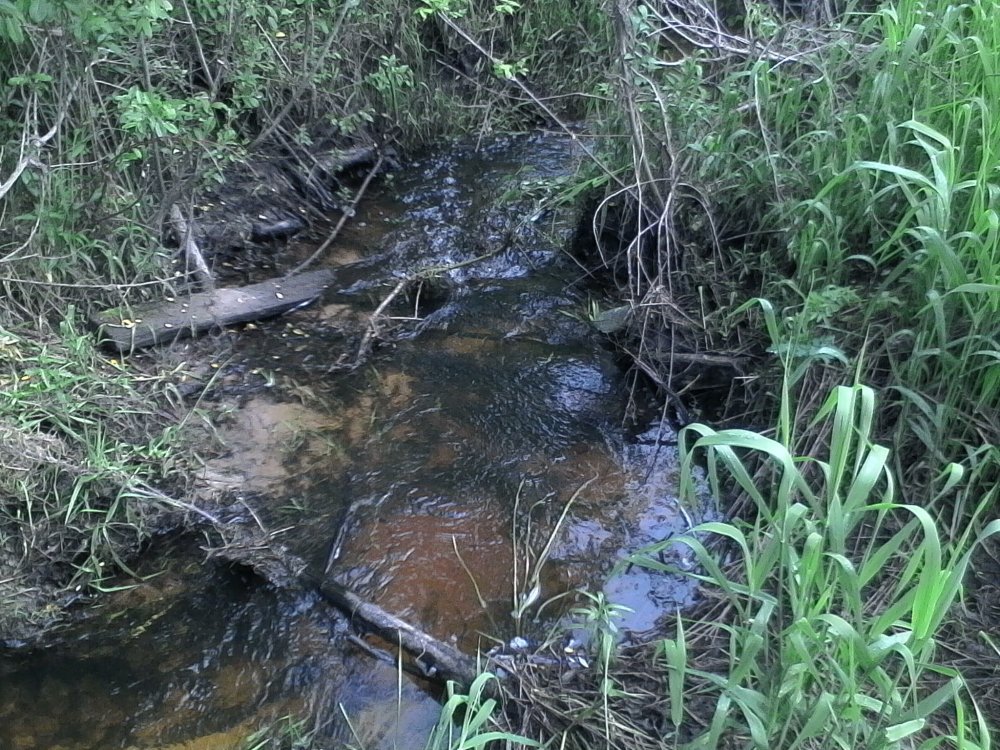 IMG_20170618_151612 (2).jpg