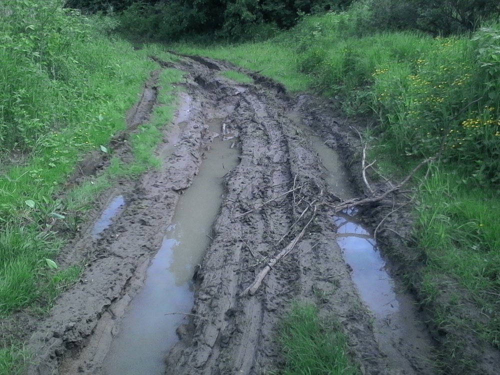 IMG_20170618_151726 (2).jpg