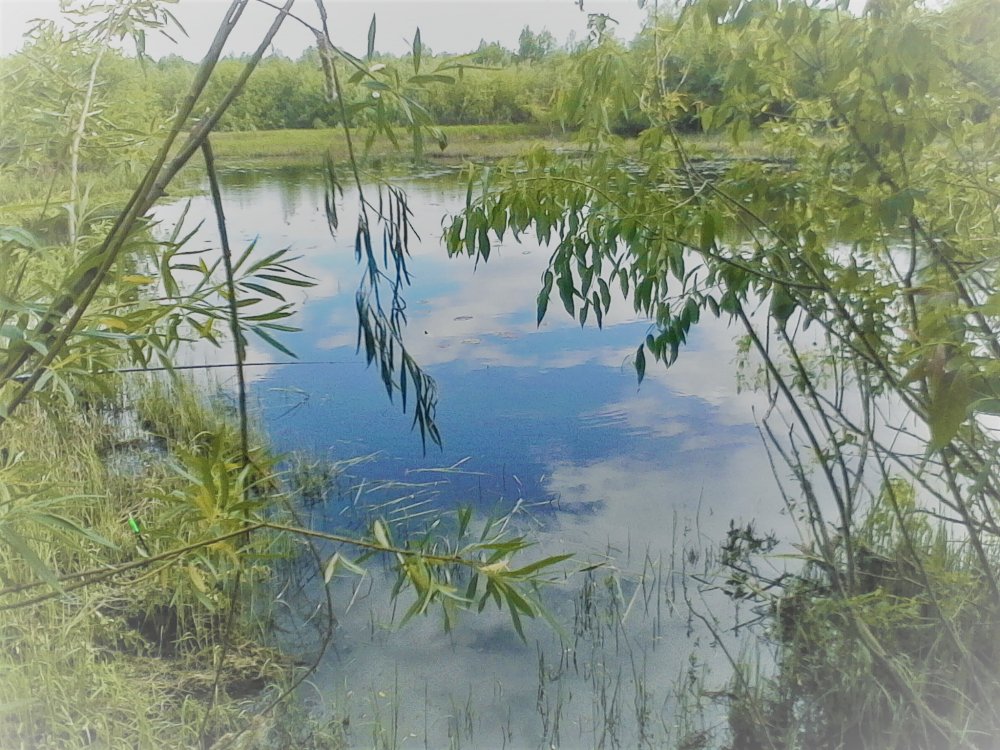 IMG_20170618_152824 (2).jpg