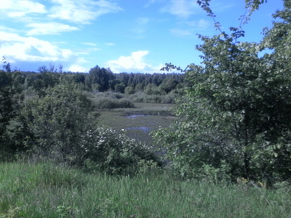 IMG_20170618_161032 (2).jpg