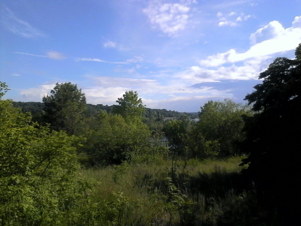 IMG_20170618_161536 (2).jpg