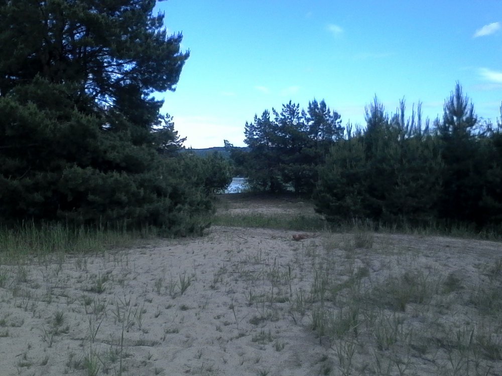 IMG_20170618_170645 (2).jpg