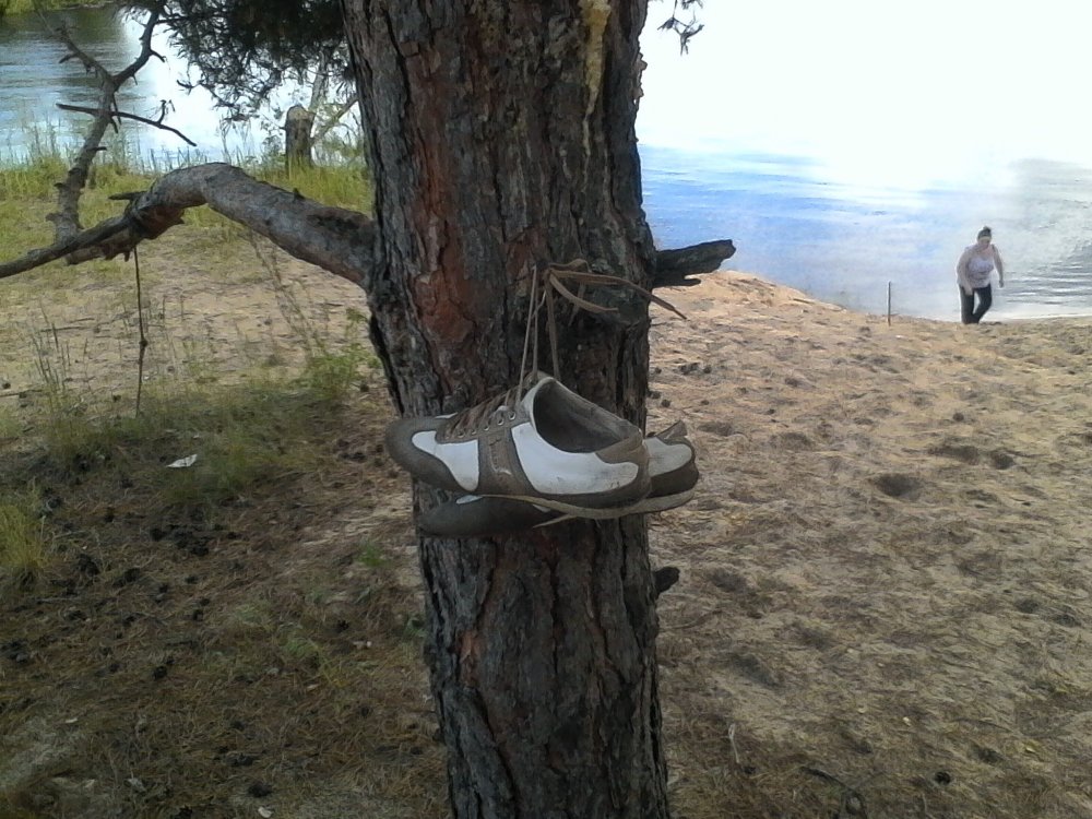 IMG_20170618_170858 (2).jpg