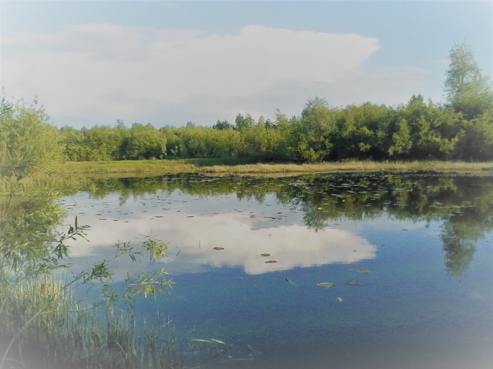 IMG_20170618_183221 (2).jpg