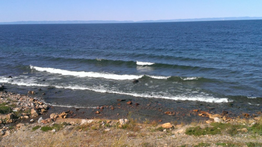 2017-09-11 08.38.21.jpg