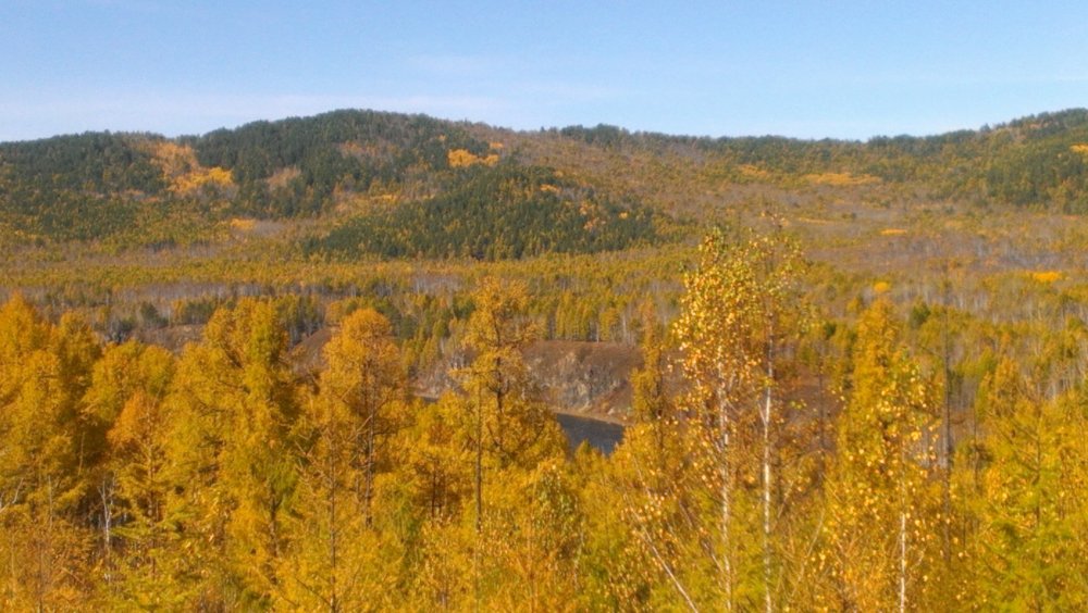 2017-09-19 12.11.03.jpg