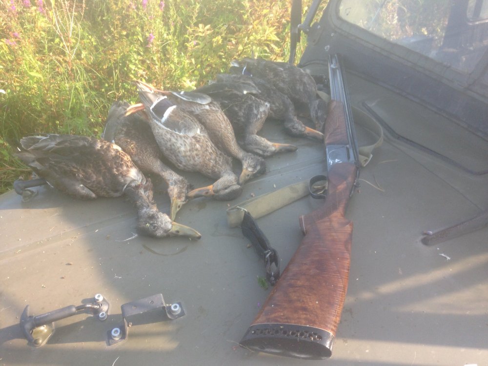 2017-08-20 07-29-09.JPG