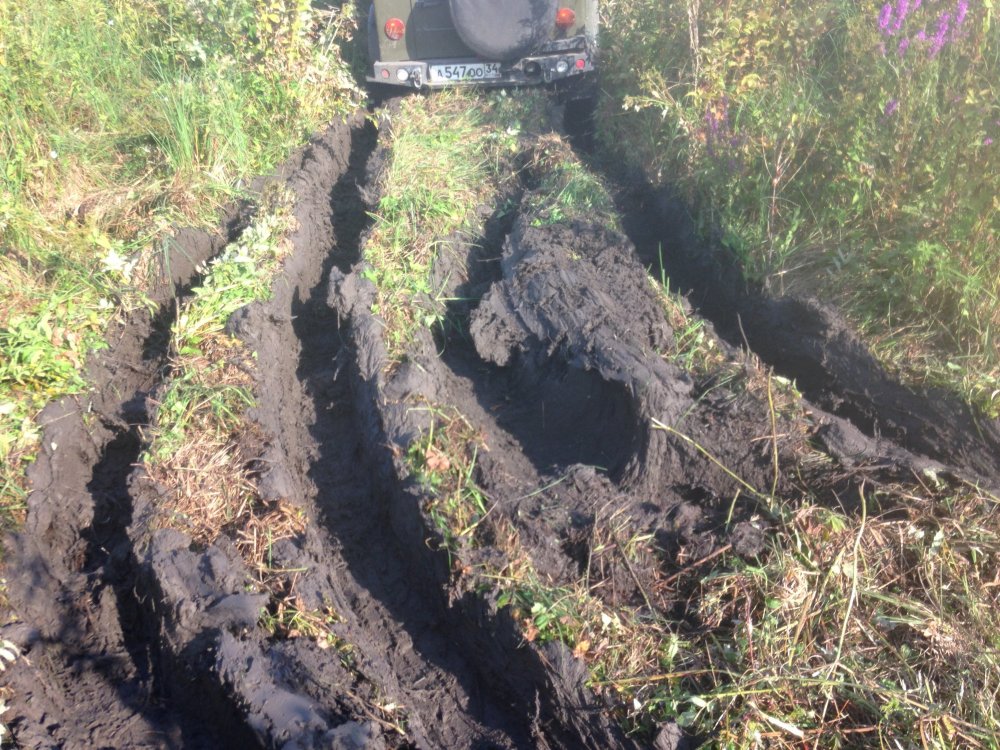 2017-08-20 08-03-44.JPG