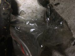 IMG-20180524-WA0008.jpg